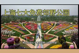 上海免费的其他郊野公园有哪些？休闲游玩好去处视频封面