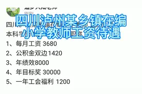 四川泸州某乡镇在编小学教师工资待遇
本科学历教龄10年中级职称视频封面