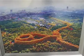 南京“美龄宫”，非常值得近距离欣赏，有历史，有人文，有景致。视频封面