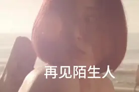 再见陌生人视频封面