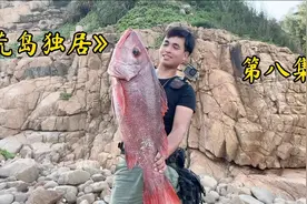 小伙在荒岛上独居 他用废弃的木头搭建的观海楼  真的是太美了视频封面