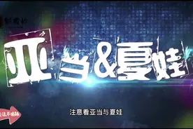 注意看亚当与夏娃的奇葩搞笑视频封面