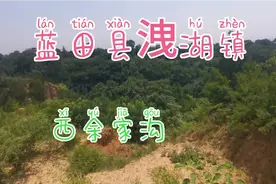 抗日战争的时候日本轰炸西安，被击落的飞机掉到蓝田县洩湖镇视频封面