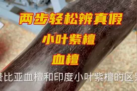 从此不再上当，轻松辨别小叶紫檀和血檀，学会两招就可变成行家视频封面