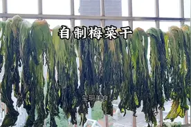 自制梅菜干的教程来了，三蒸三晒味更浓郁！视频封面