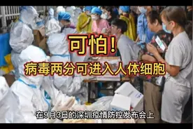 病毒两分钟可进入人体细胞视频封面