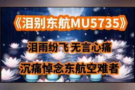 《泪别东航MU5735》泪雨纷飞无言心痛 沉痛悼念东航空难者视频封面