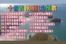 十四首好听红尘情歌《甘心情愿爱着你》《情不自禁爱上你》视频封面