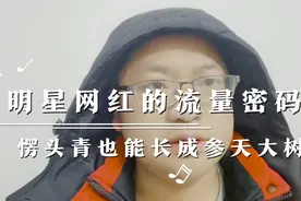 揭秘明星网红的流量密码，愣头青为什么也能长成参天大树？视频封面