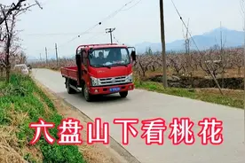 保定满城神星镇六盘山下遍地桃花免费游玩，半山腰还有泉峰寺视频封面
