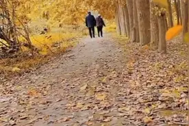 邻里故事视频封面