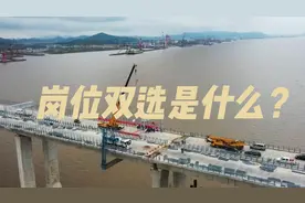 国网岗位双选是什么意思？视频封面