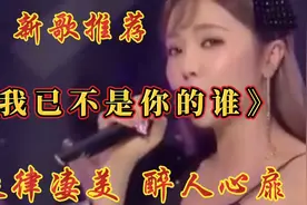 新歌推荐！一首《我已不是你的谁》唱火了 旋律凄美  醉人心扉视频封面