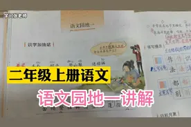 二年级上册语文，语文园地一讲解，两个句式是重点视频封面