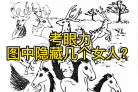 爸爸说图中隐藏两个美女，我只发现一个，另一个在哪？眼力好的来视频封面