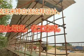 装玉米棒应该这样设计。不霉变。省工省时。视频封面
