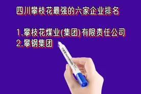 四川攀枝花最强的六家企业排名视频封面