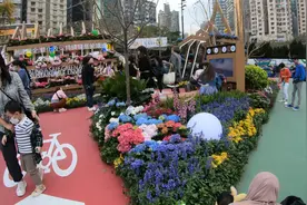 中国花節2023年3月19日视频封面