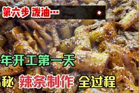 开工第一天，小楠决定揭秘辣条制作全过程，希望对你有所帮助！视频封面