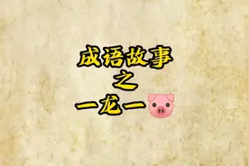 “一龙一猪”什么意思？视频封面