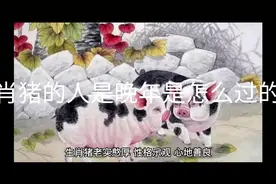 生肖猪的人晚年是如何度过的？视频封面