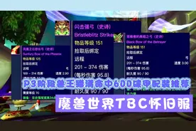 魔兽世界TBC怀旧服：P3阶段兽王猎满命中600破甲配装推荐视频封面