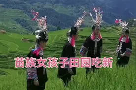 神秘贵州神秘苗族习俗，吃新传承活动百年流传至今视频封面