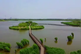 航拍天津西青郊野公园～长在城市不远处的天然绿肺～风景如画…视频封面