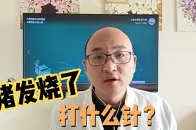 养猪常见问题多，遇到猪发烧不吃料，应该打什么针？视频封面
