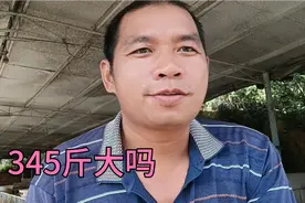 卖了七头大肥猪，均重345斤视频封面