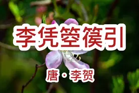 李凭箜篌引 朗读及内容解析，作者李贺视频封面