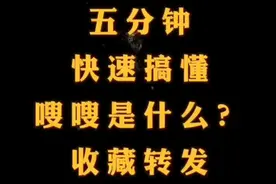 嗖嗖是什么？它能是使用者受益，推广者创富，献给需要的人！视频封面