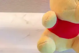 蜂蜜泥！！！有没有喜欢小能维尼不喜欢蜂蜜的吗？视频封面