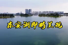 成都最美公园东安湖，比兴隆湖更美，比青龙湖更加精致。视频封面
