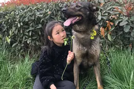 满眼都是孩子的狗狗，任何一个细节都体现出对孩子的偏爱视频封面