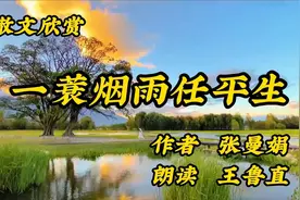 美文欣赏《一蓑烟雨任平生》张曼娟/怎样给自己解压视频封面
