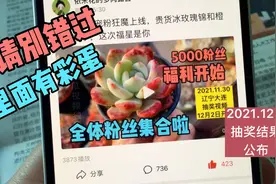 花花5000粉丝福利抽奖结果公布，花花有话对你说，8000福利再战哦视频封面