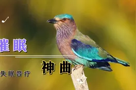 『十大助眠神曲』适合睡前听的纯音乐，放松心情，快速入睡视频封面