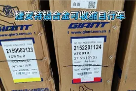 捷安特铝合金能够收缩的自行车，外观时尚，功能实用，材料环保。视频封面
