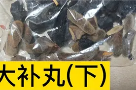 30几位上等质量的中药材组成的一个丸剂，里面的药材为你解读视频封面