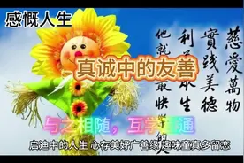 与之相随，互学互通视频封面