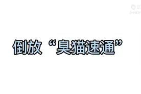 臭猫视频封面