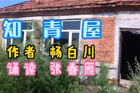 悠悠岁月，知青，是一代人的记忆，是那些经历过的人骄傲的称号。视频封面