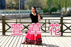 广场舞《萱草花》热播贾玲电影中插曲，抒情感人