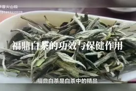 福鼎白茶的功效与保健作用视频封面