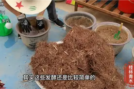 松针怎么发酵做花土？了解发酵原理再也不犯迷糊，快慢自己把控