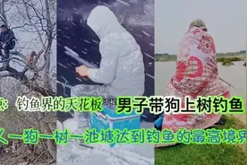 钓鱼界的天花板，男子带狗上树钓鱼一人一狗一树一塘逍遥赛神仙！视频封面