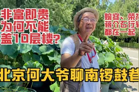 北京何大爷聊南锣鼓巷，荣禄婉容都住这，非富即贵为何不能盖10层视频封面