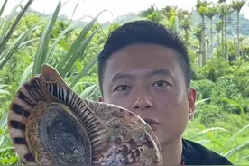 国家二级保护动物凤尾螺视频封面