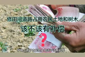 村里拓宽田间路，占用农民土地和树木，有没有补偿，补偿谁来出？视频封面
